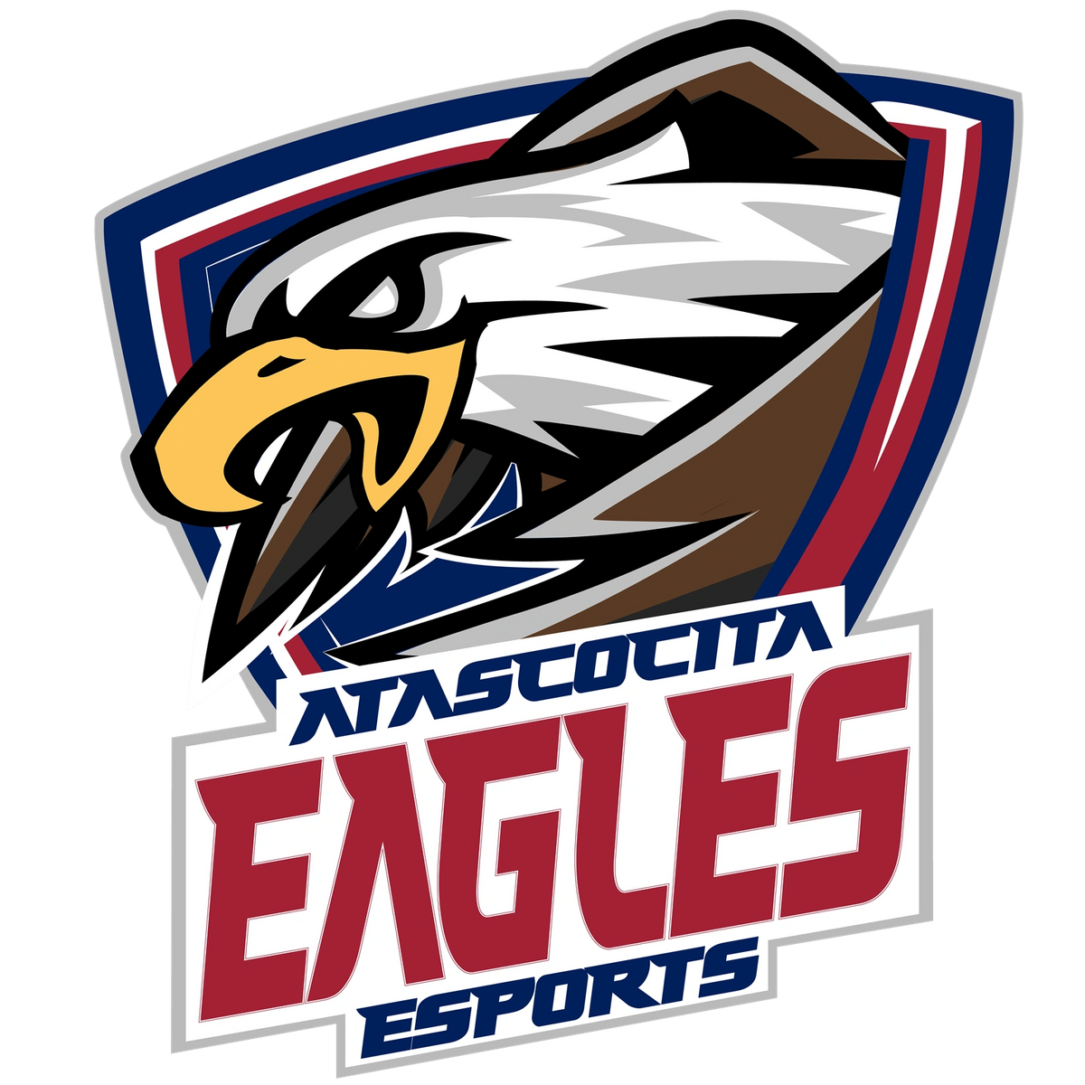 Atascocita High School eSports